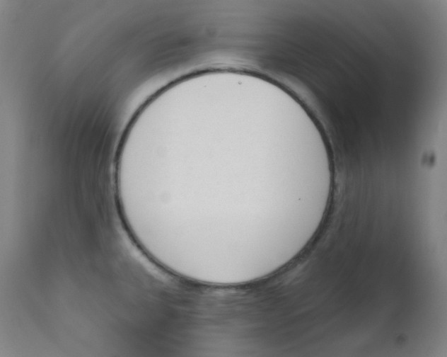 X0000111611335200908141244