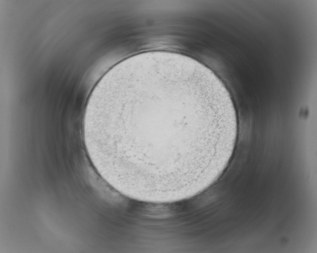 X0000111611338200908141244
