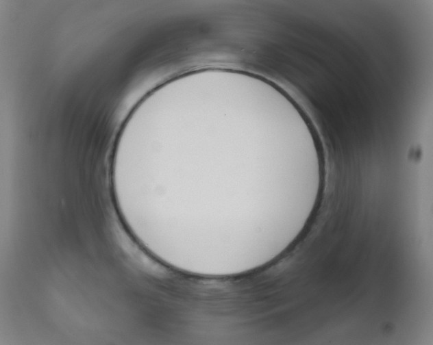 X0000111611341200908141244