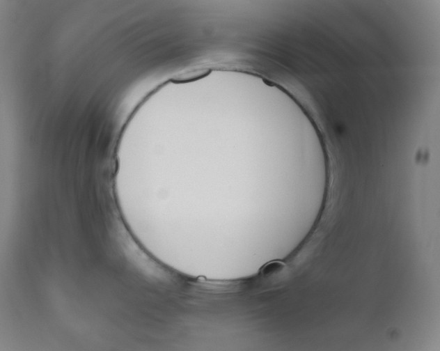 X0000111611344200908141244