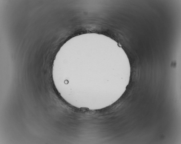 X0000111611345200908141244