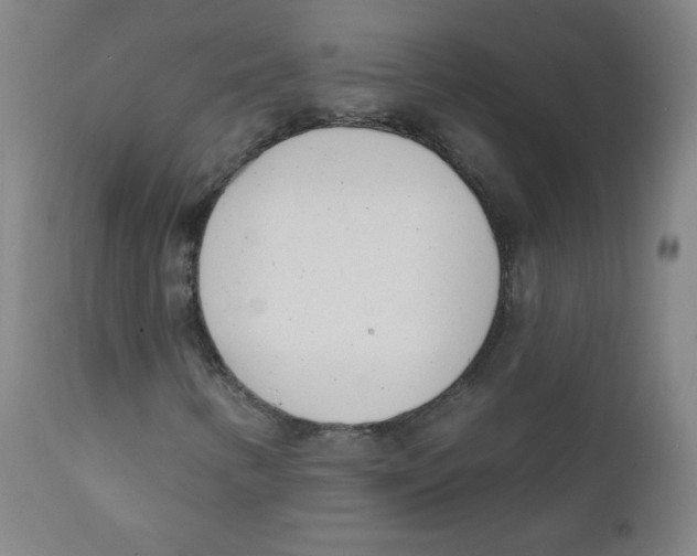 X0000111611346200908141244
