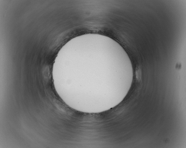 X0000111611347200908141244