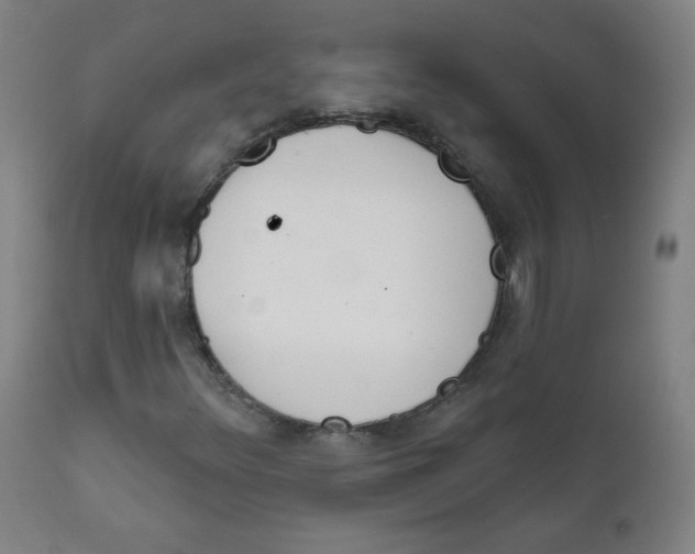 X0000111611348200908141244