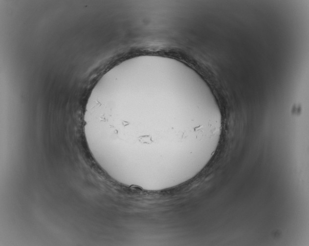 X0000111611349200908141244