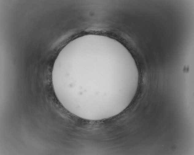 X0000111611350200908141244