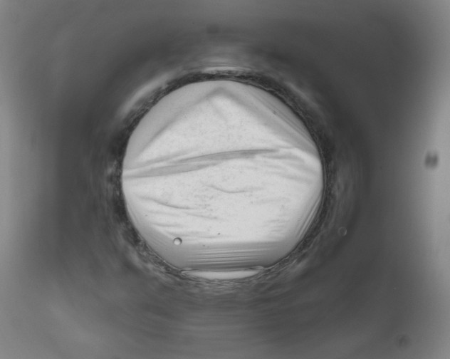 X0000111611351200908141244