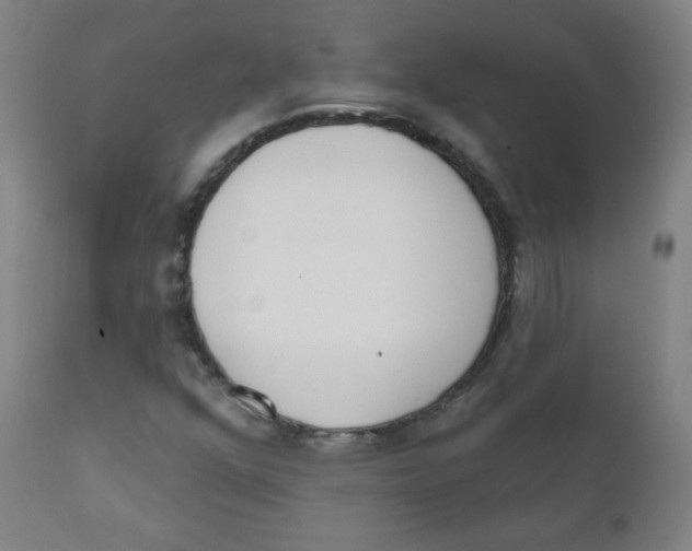 X0000111611352200908141244