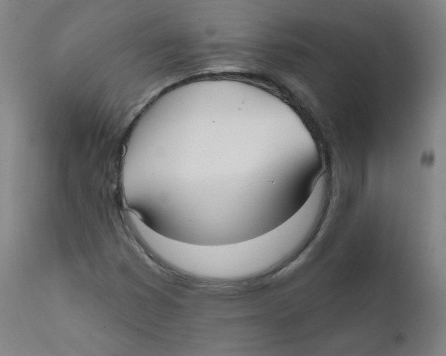 X0000111611353200908141244