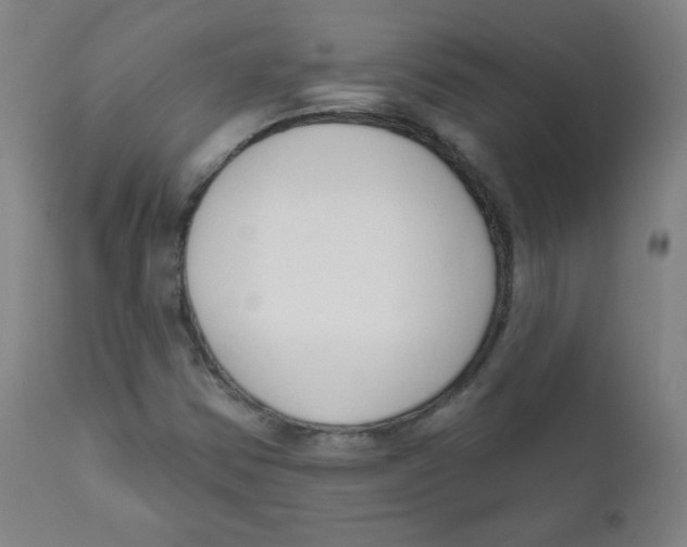 X0000111611354200908141244