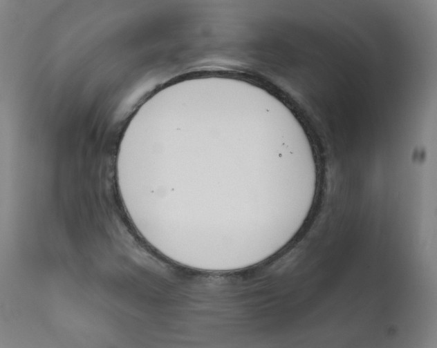 X0000111611355200908141244