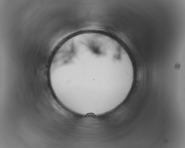 X0000111611356200908141244