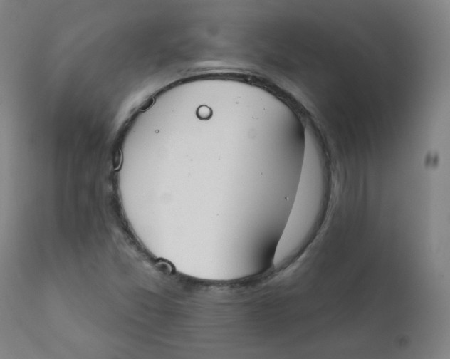 X0000111611357200908141244