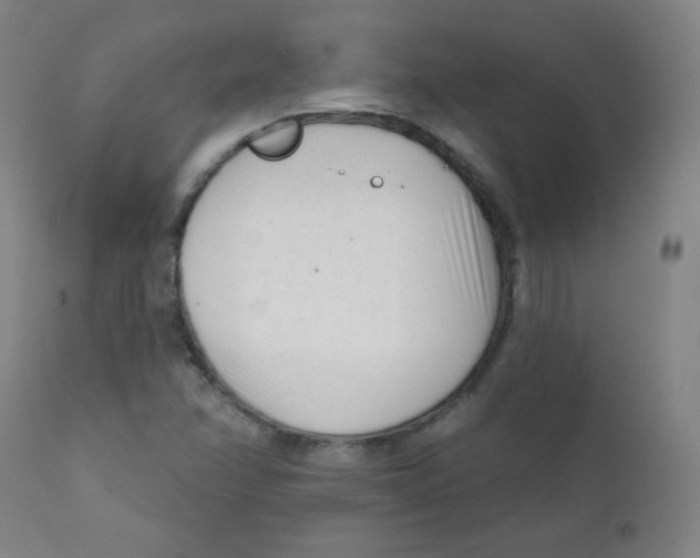 X0000111611358200908141244