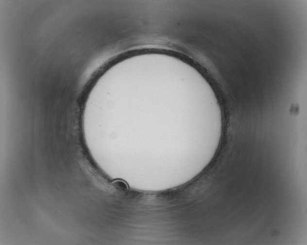 X0000111611360200908141244