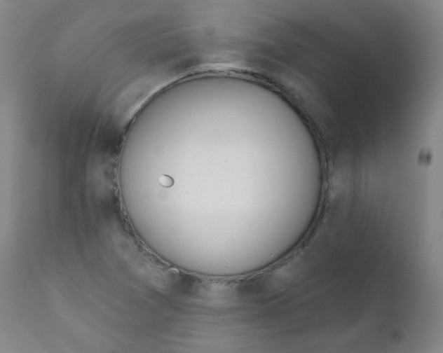 X0000111611361200908141244
