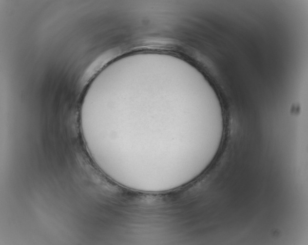 X0000111611362200908141244