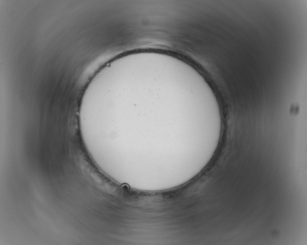 X0000111611363200908141244