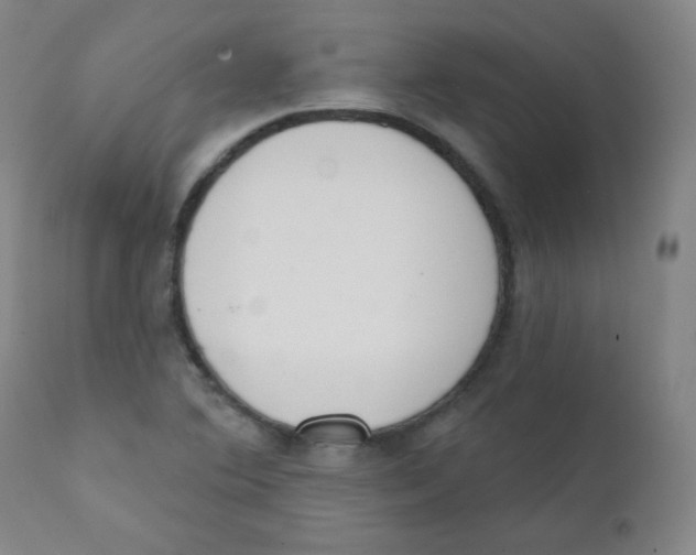 X0000111611364200908141244
