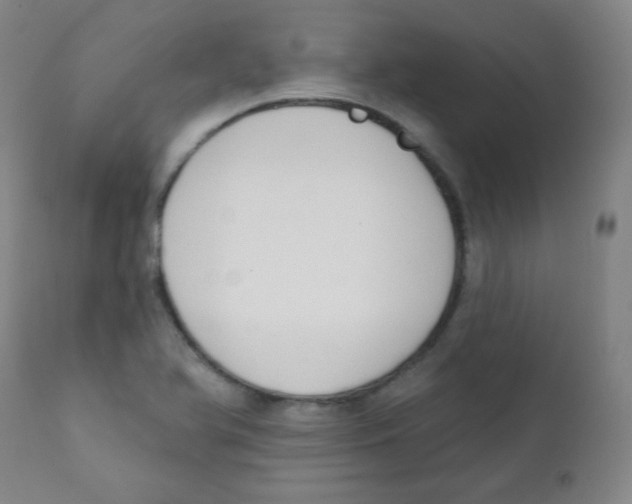 X0000111611366200908141244