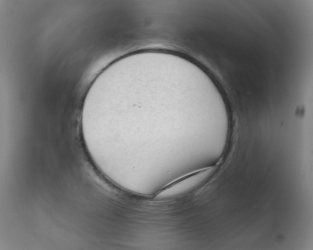 X0000111611367200908141244