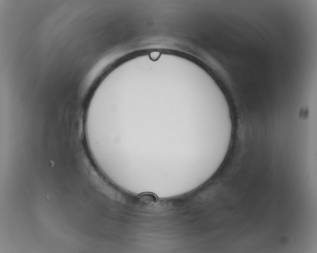 X0000111611368200908141244