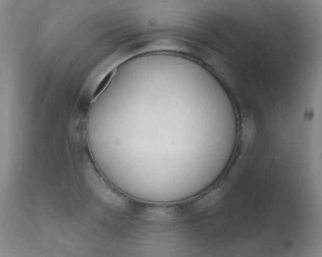 X0000111611369200908141244