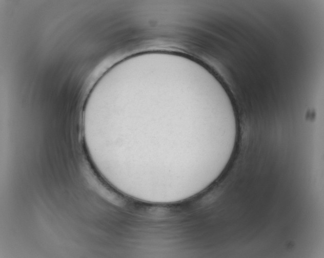X0000111611371200908141243