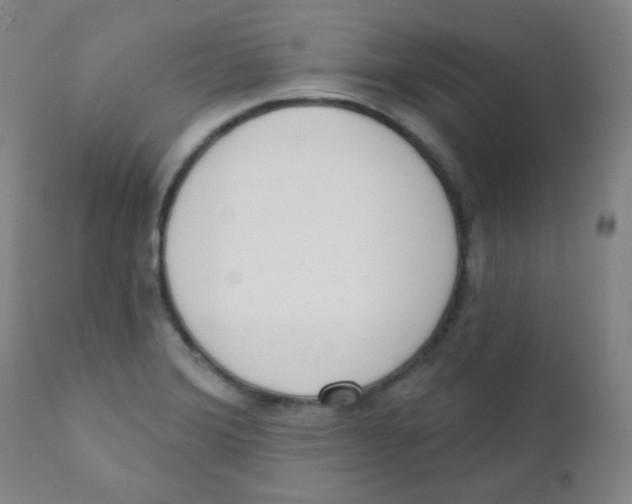 X0000111611372200908141243