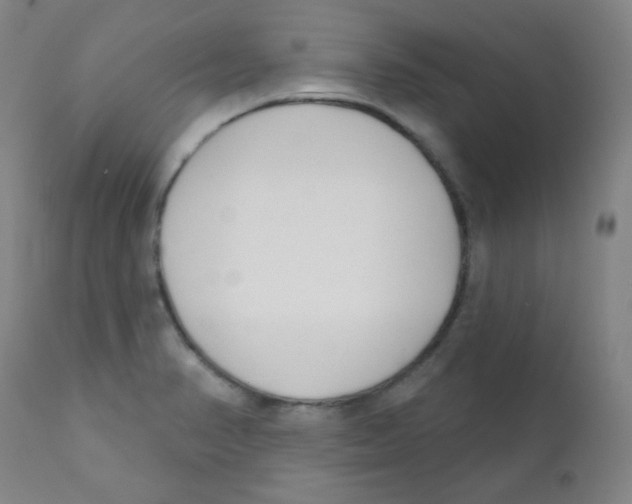 X0000111611374200908141243