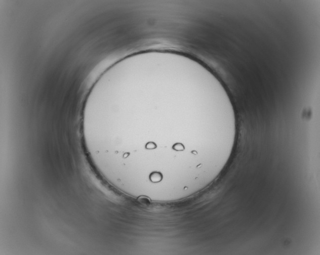 X0000111611375200908141243