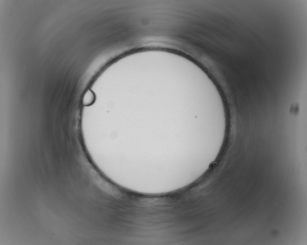 X0000111611376200908141243