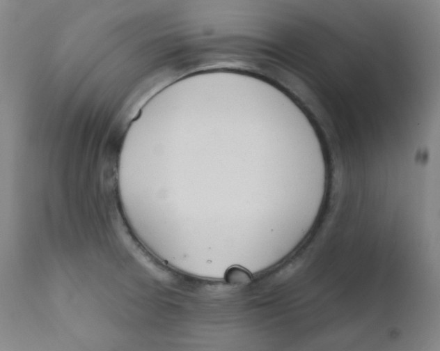 X0000111611377200908141243