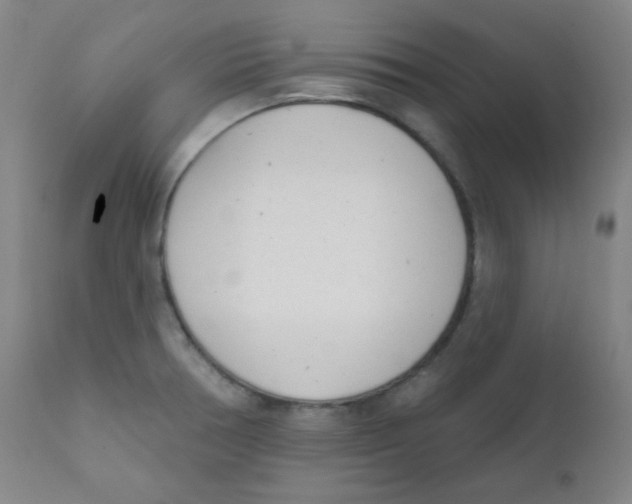 X0000111611378200908141243