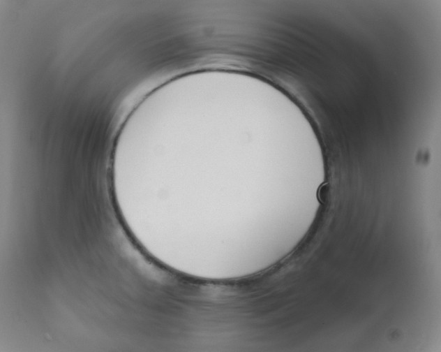 X0000111611379200908141243