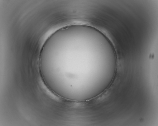 X0000111611381200908141243
