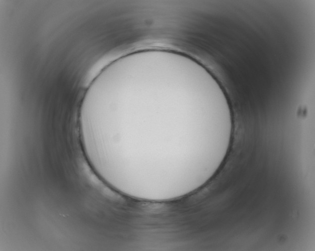 X0000111611382200908141243