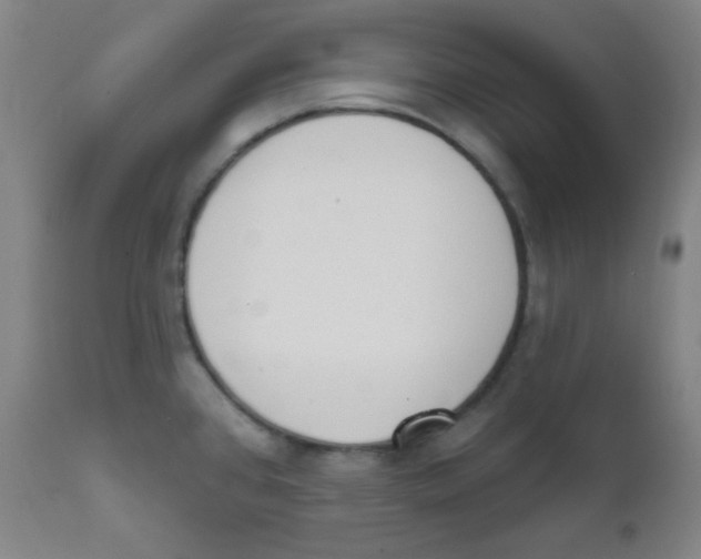 X0000111611384200908141243