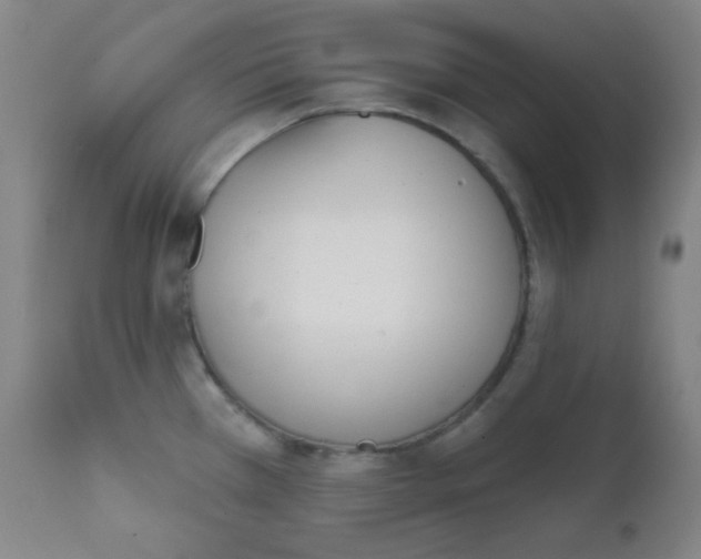 X0000111611385200908141243