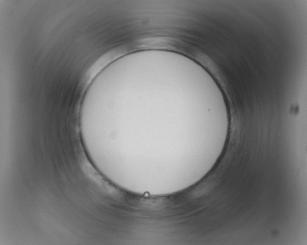 X0000111611386200908141243