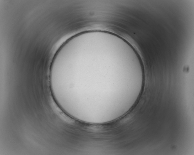 X0000111611388200908141243