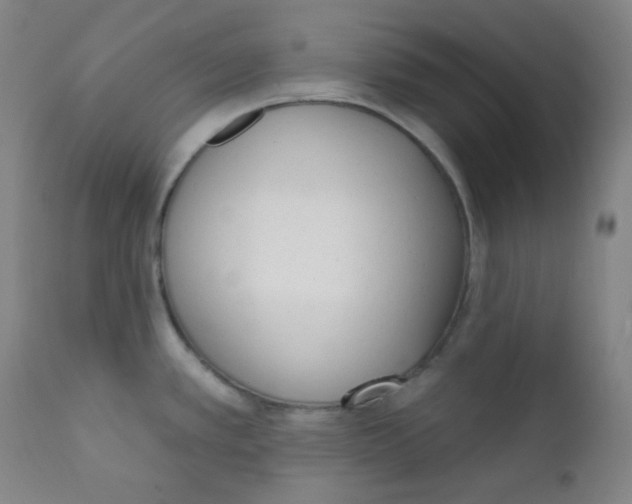 X0000111611389200908141243