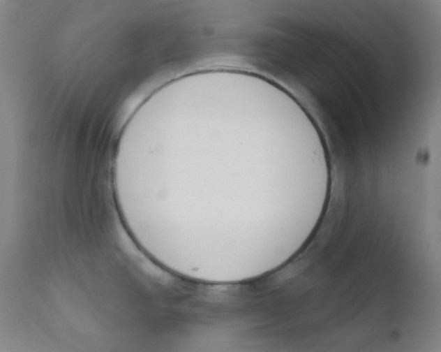 X0000111611390200908141243