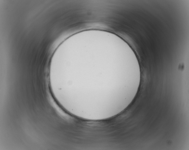 X0000111611391200908141243