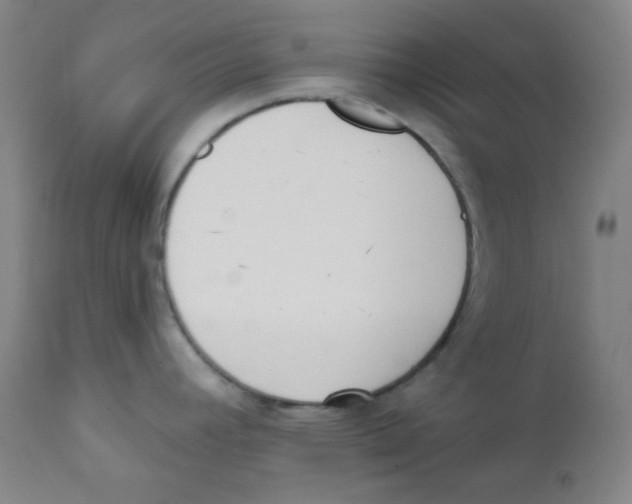 X0000111611392200908141243