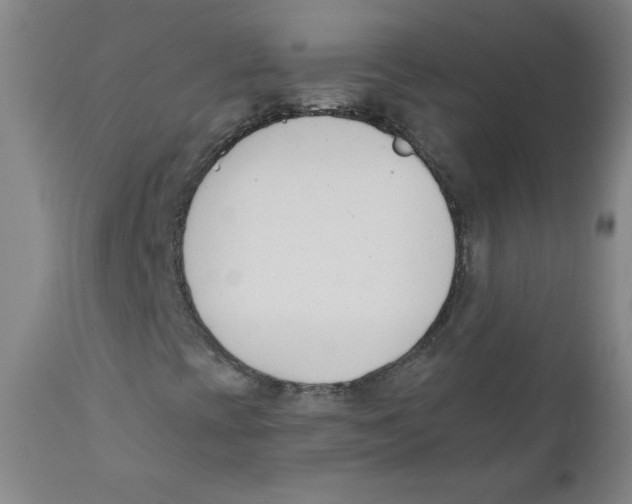 X0000111611393200908141242