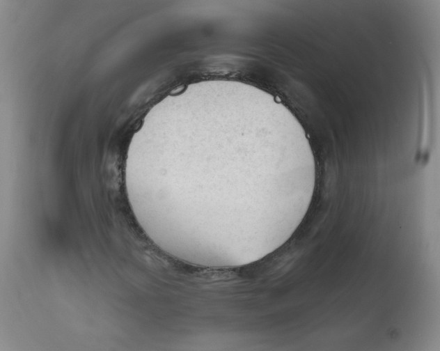 X0000111611394200908141242