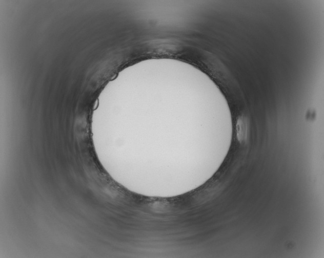 X0000111611395200908141242