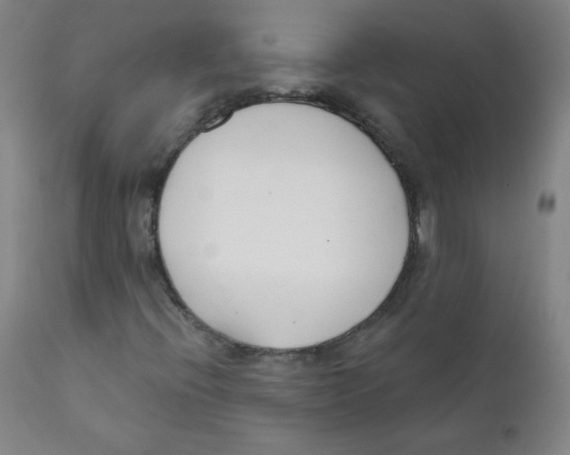 X0000111611396200908141242