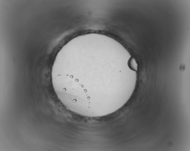 X0000111611398200908141242